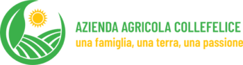 Azienda Agricola Colle Felice